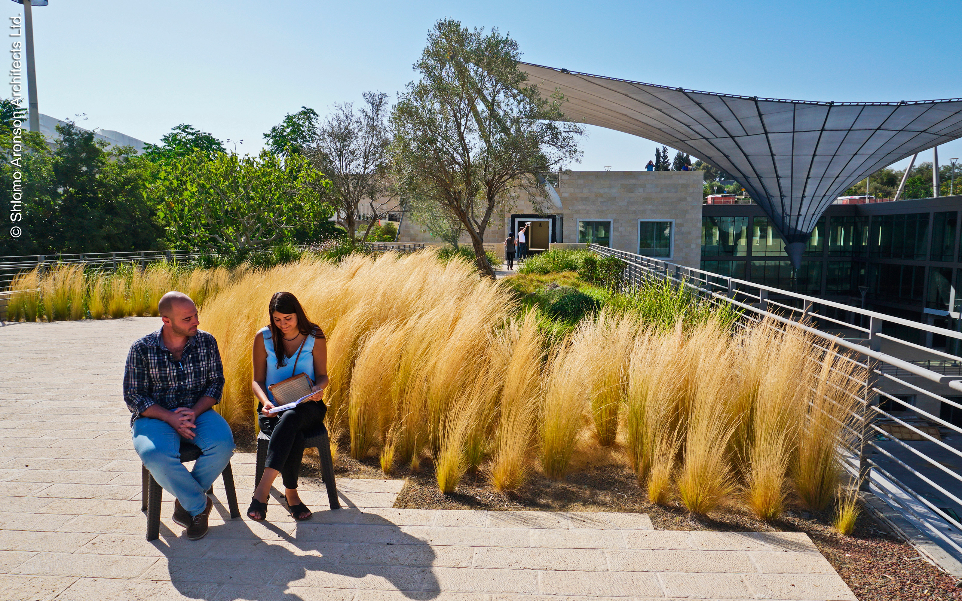 Just to feel well: a garden for relaxation and encounters. Two people sitting on roof garden in front of ornamental grasses